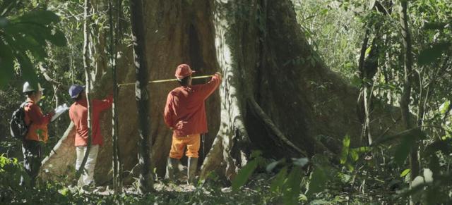 广告|大自然家居荣获亚洲500强，品牌价值758.23亿元，位居地板行业