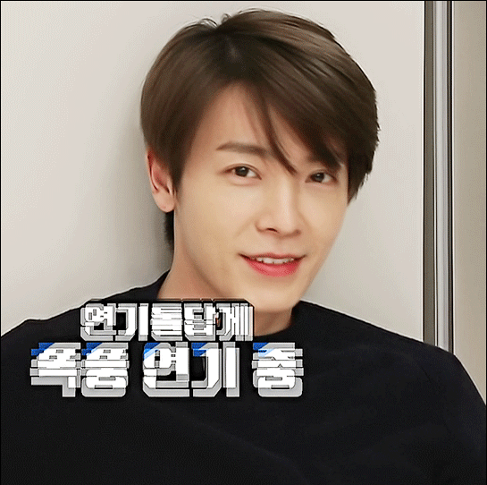 恐龙相:大气的五官,温柔的嘴唇,加一点狗狗相:李东海,李帝努,钟铉