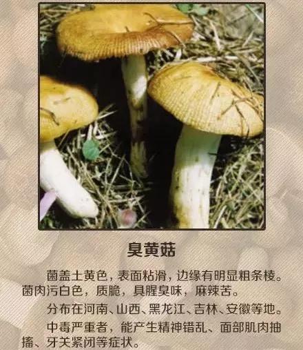 0575fe57e05c4ca3aa639c34537d080c