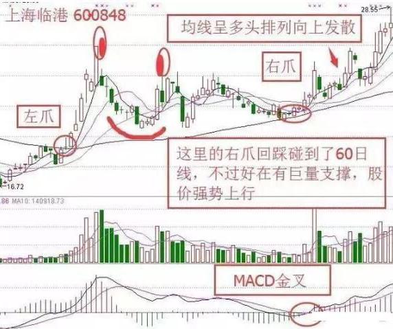 股市战法之金蛤蟆形态