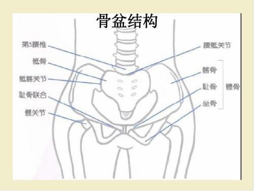 老人说生孩子时开骨缝不全是迷信但一定要好好修复