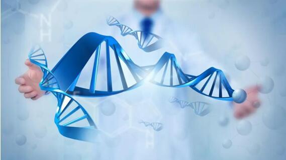 东华健康，疫情之下的健康管理新思路