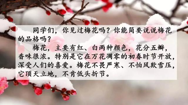 《梅花魂》教学内容ppt课件图片预习-跟我学语文