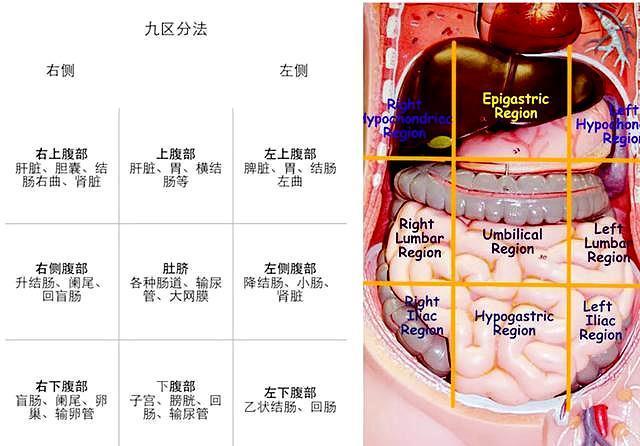 医生详细告诉您