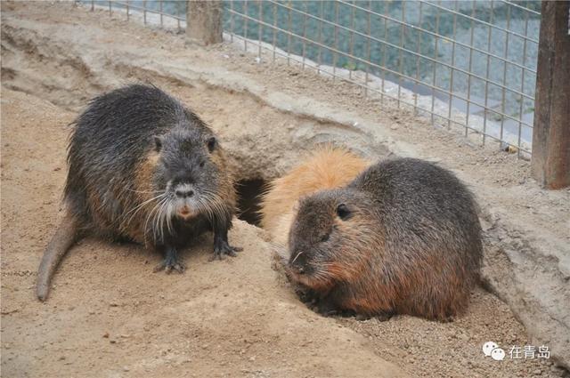 3a4f9c935af14c35913776f02480d275