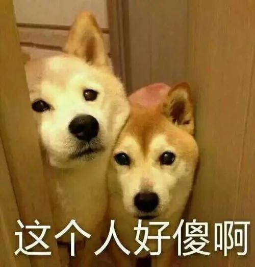 女主播当街栓链子学狗爬，看完我想给她刷个大火箭...