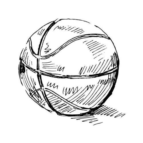 小小侃体育