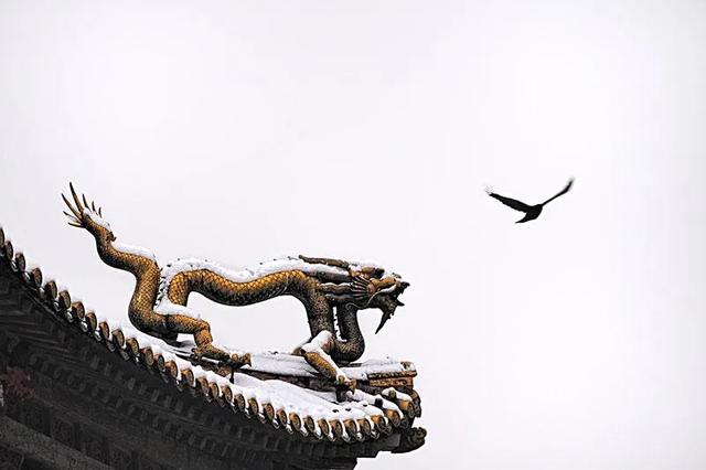 日本的凤凰与中国的有何不同 铁壶之家