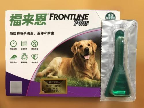 广告|狗狗感染蜱虫不要怕，试试福来恩