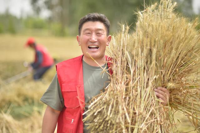 丰收的喜悦(买买提艾力摄)"特殊之年的丰收来之不易.