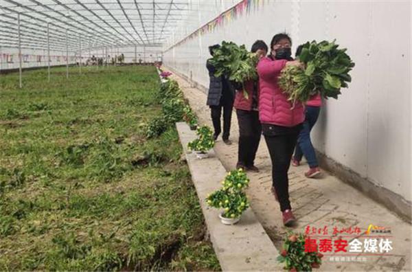 宁阳各村人口_宁阳伏山大吴村搬迁吗
