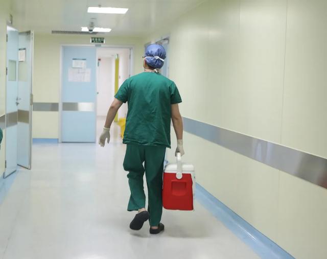 「一人救四命」，树兰医院移植团队团结协作完成高难度移植手术