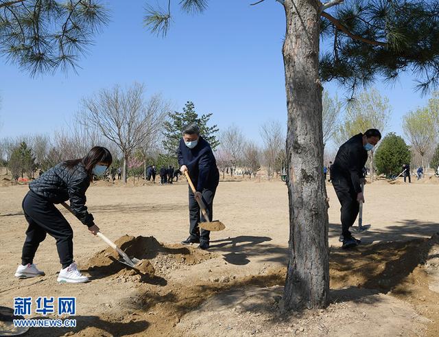 习近平参加首都义务植树活动(图3)