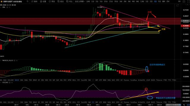 10/16价格分析：BTC、BCH、ETH、XRP、LTC、ZEC、DASH I Damo行情9