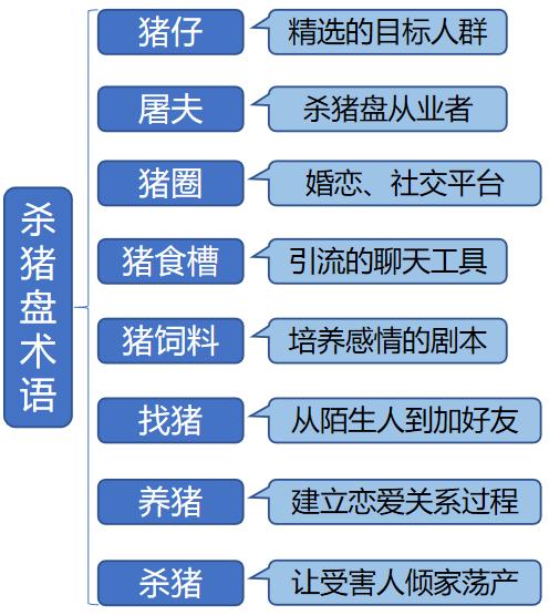 宝典|30岁还单身？2020恋爱宝典来了