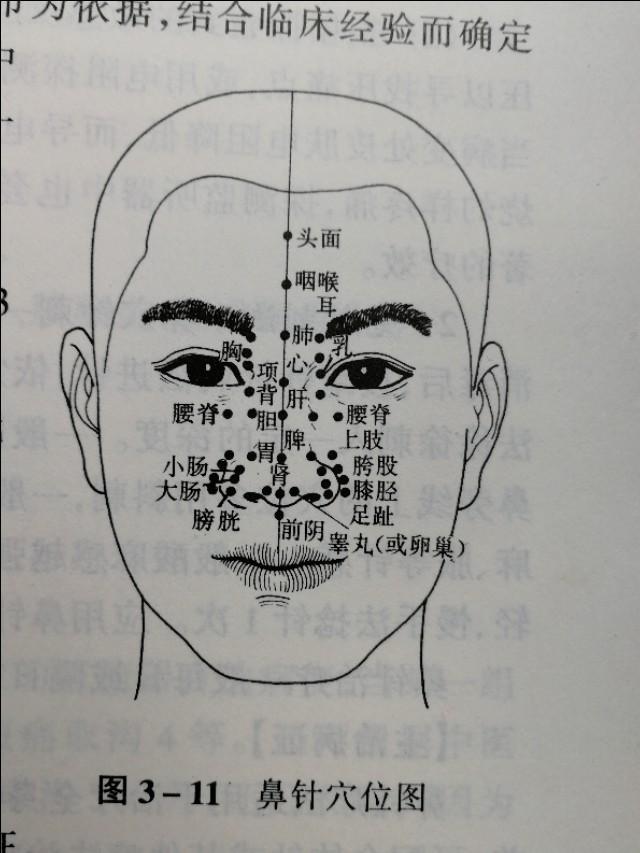 中医望诊:鼻,与全身气血和心肺关系密切,不可不知!