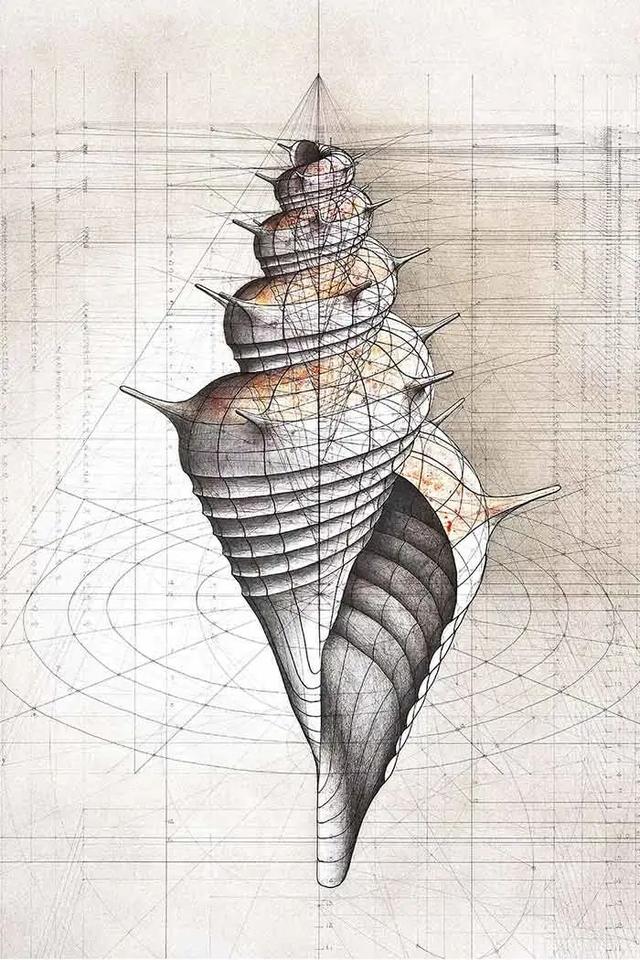 理科生尺规作图中诞生的几何美学