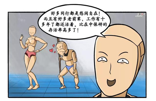 漫画｜马上过年了！但我不得不从中保研辞职