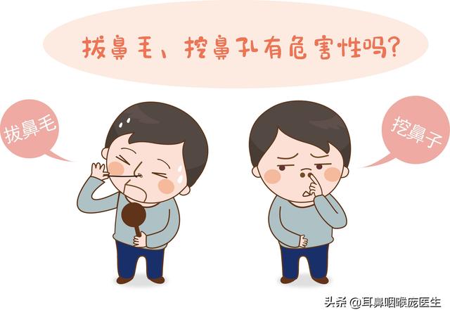 你是否经常拔鼻毛你知道挖鼻孔拔鼻毛有什么严重后果吗