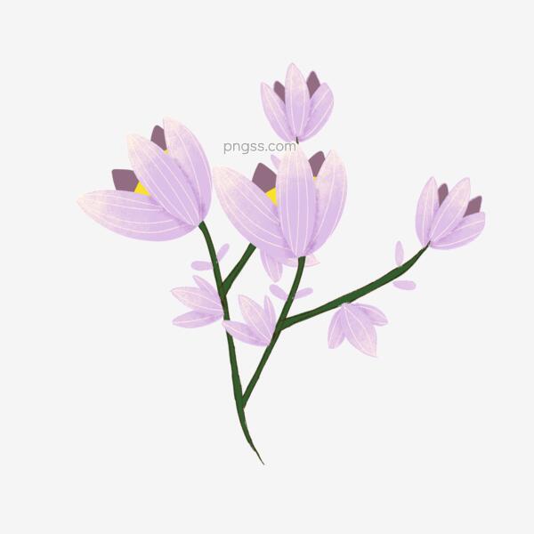 手绘植物花朵花簇绿叶紫色装饰图案元素png搜索网 精选免抠素材 透明png图片分享下载 Pngss Com