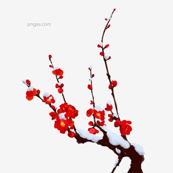 手绘雪红梅插画素材png搜索网 精选免抠素材 透明png图片分享下载 Pngss Com