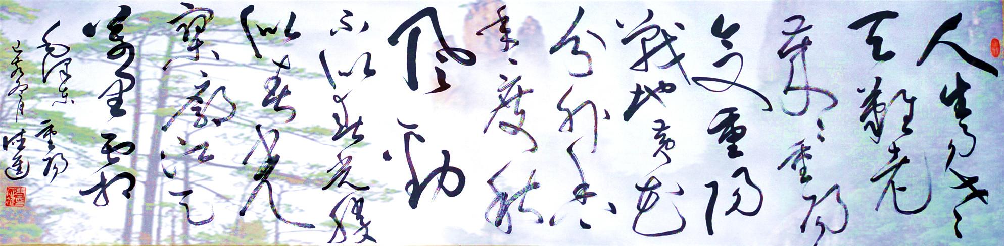 8864ef13116f4234ac8f8606b71cb9ad