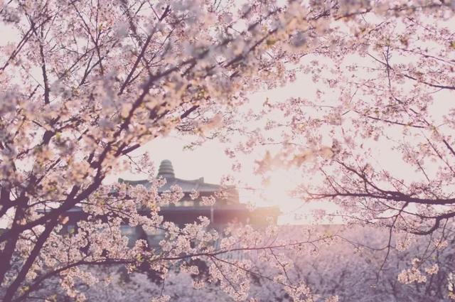 古安地板