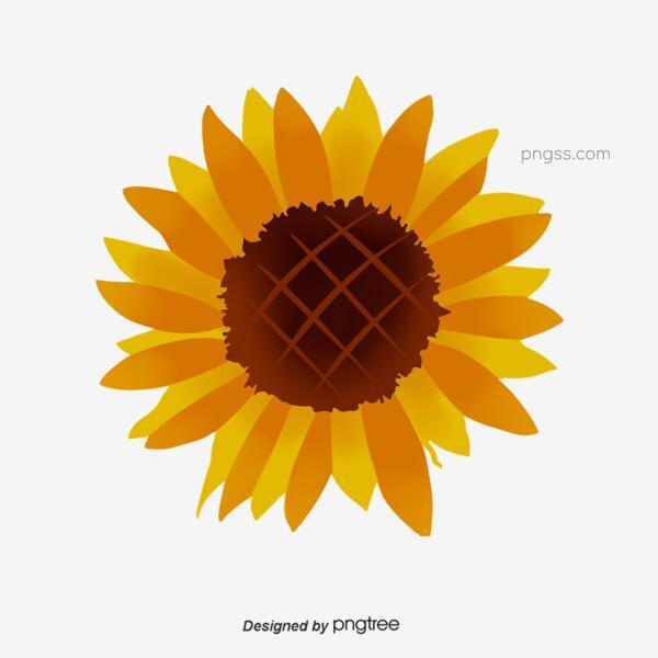 手绘卡通向日葵png搜索网 精选免抠素材 透明png图片分享下载 Pngss Com