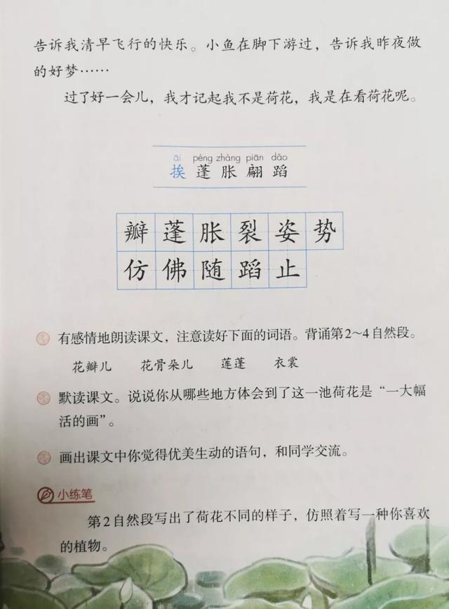 三年级语文下册荷花课文朗读生字预习