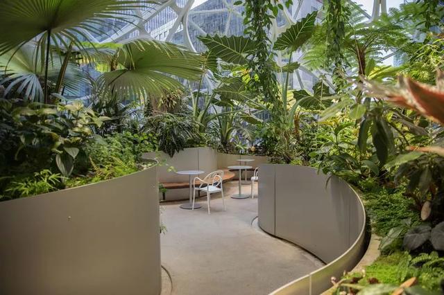 这才叫做花园办公