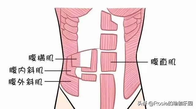 肋骨外翻是什麼如何改善5個動作改善煩惱讓你美出新維度