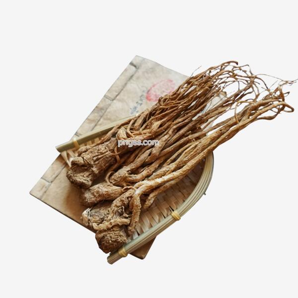 一些人参和一本草药典籍png搜索网 精选免抠素材 透明png图片分享下载 Pngss Com