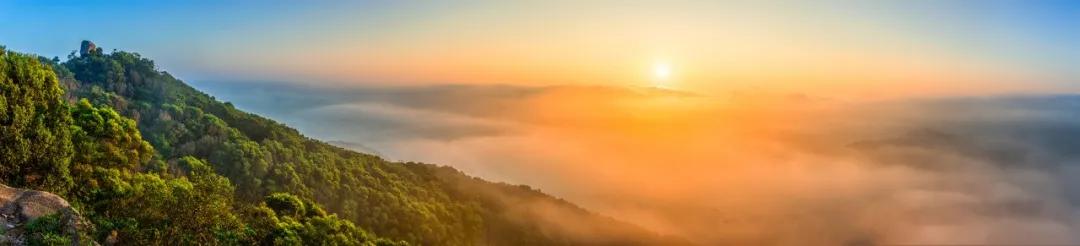 初中语文古诗词鉴赏大全，返校在家都要看！-兜得慧