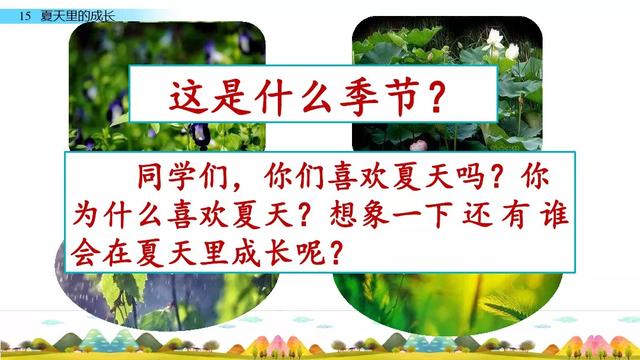 《夏天里的成长》教学内容ppt课件图片预习-跟我学语文