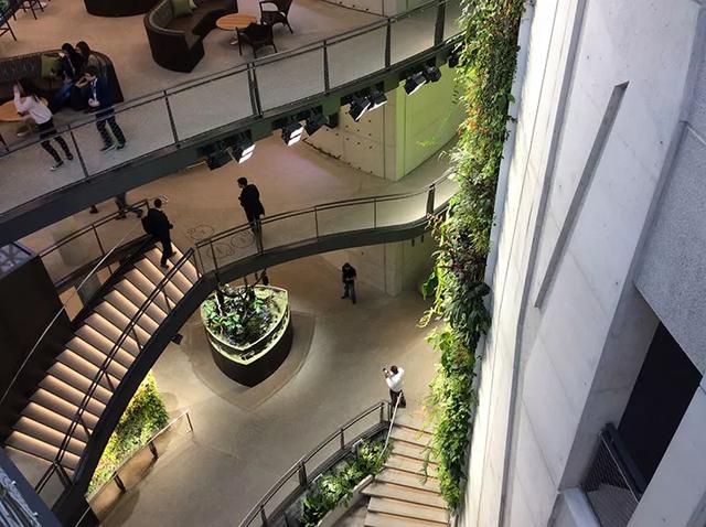 这才叫做花园办公