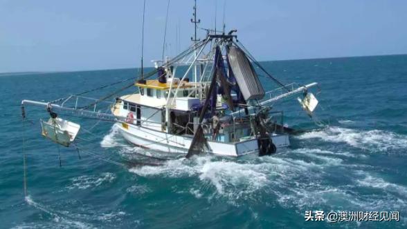 昆州渔业出口将被禁 大堡礁濒危物种或得救