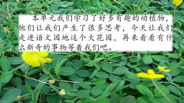 五年级语文上册语文园地一知识点与教学内容ppt课件图片预习-跟我学语文