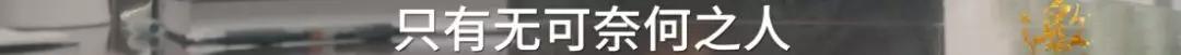 为啥朋友圈突然都在安利89岁的他？