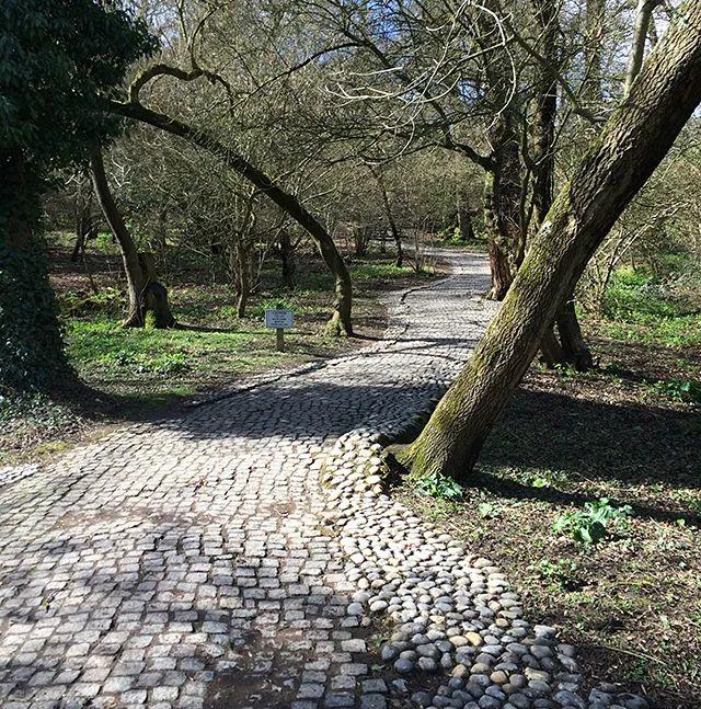 景观设计是所有艺术之母英国景观大师杰弗里杰里科的设计思想