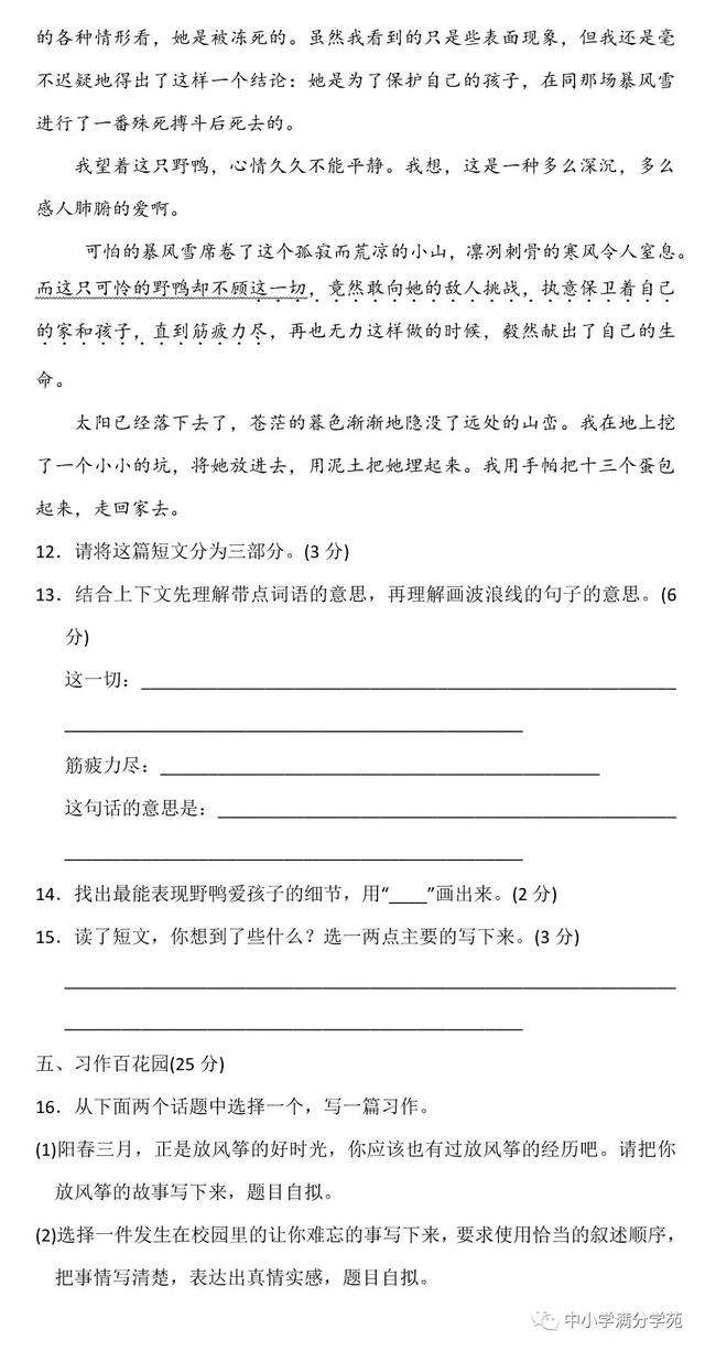 四年级语文上册第五单元测试卷