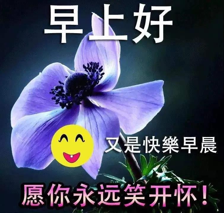 问候早晨好的图片表情，早上好祝福的话语