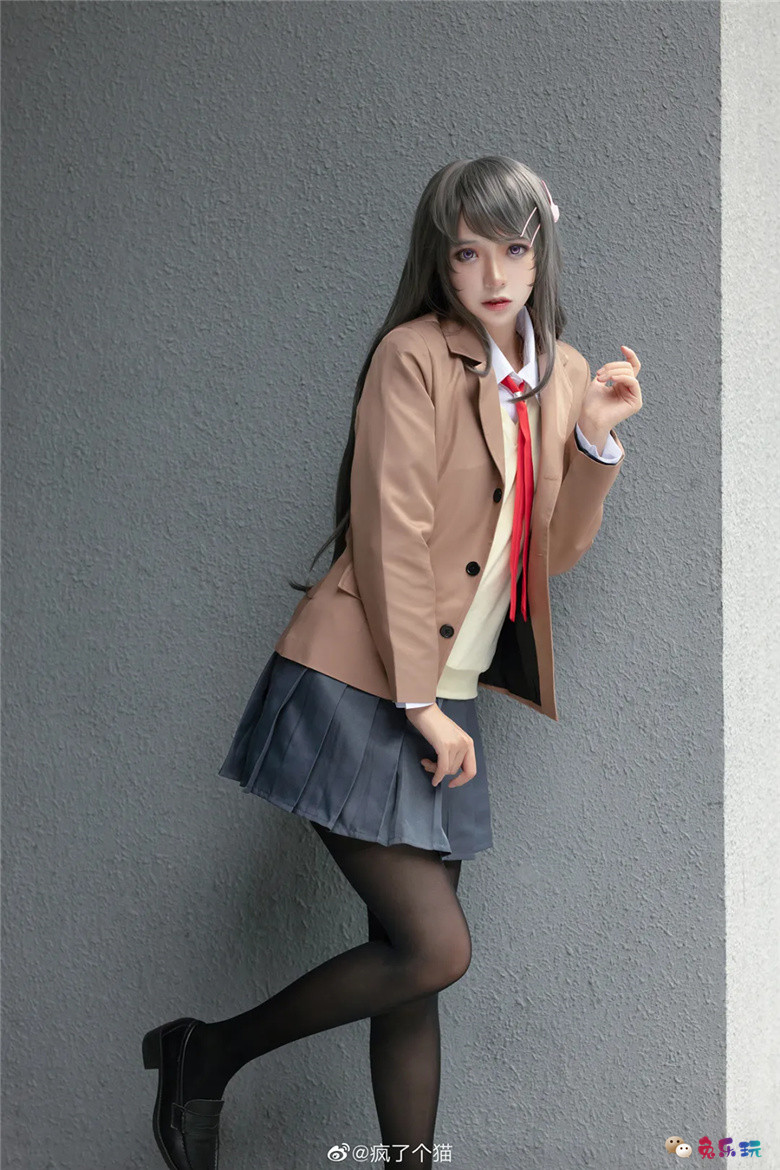 疯了个猫丨《青春猪头少年系列》樱岛麻衣