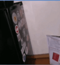 搞笑动图：别惹我，战斗鸡中的轰炸机！