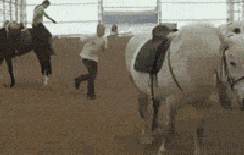 爆笑动图GIF：舔狗被女神无视，就是这个画面了！