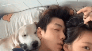 笑晕的GIF：一对情侣在车上亲热时被抓了！这么刺激的吗？