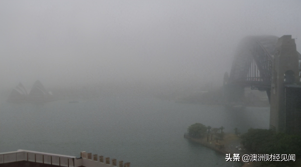 悉尼被浓雾笼罩！气温达20度以上 潮湿天气持续