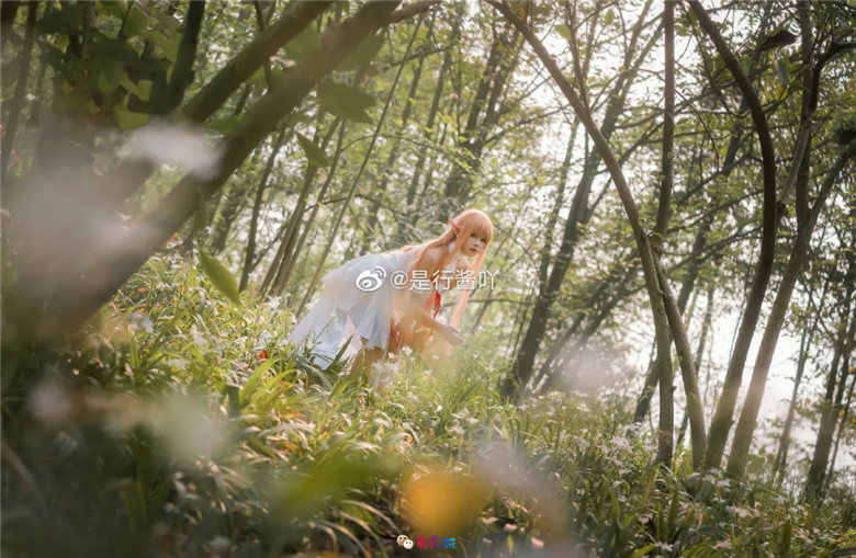 是行酱吖丨《刀剑神域》亚丝娜