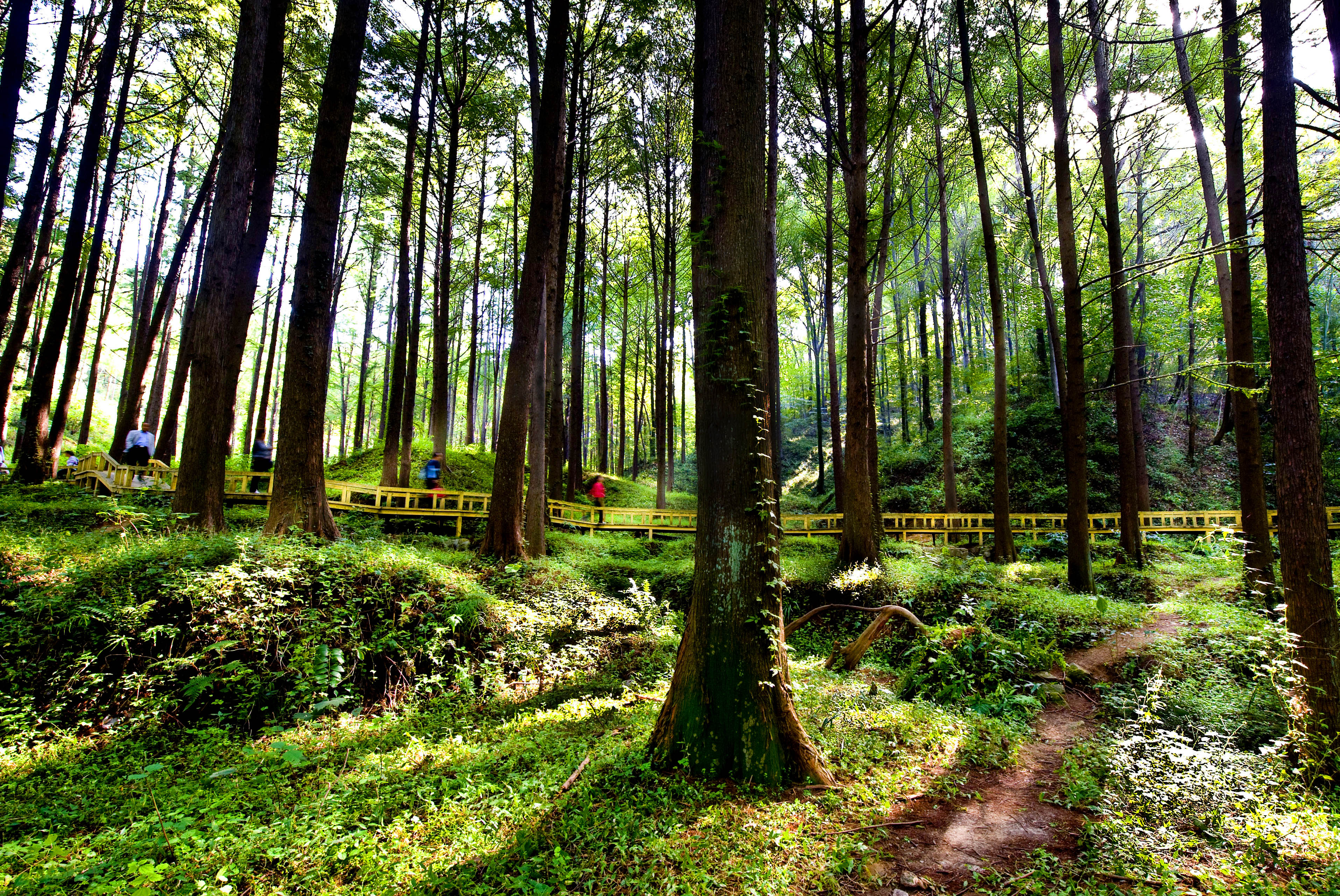 波尔登森林公园—中国国际山地旅游休闲度假目的地【官网】