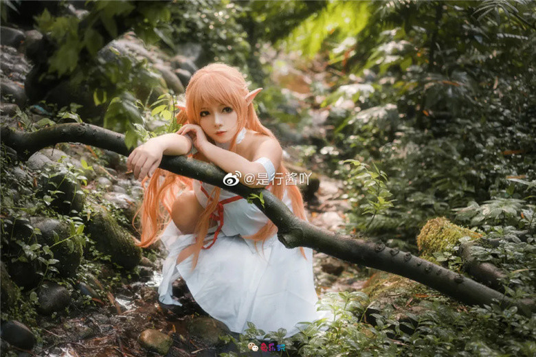 是行酱吖丨《刀剑神域》亚丝娜