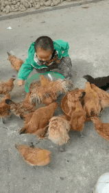 爆笑动图图片：开着跑车也输得这么惨是我没想到的！